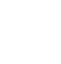 Bassem Fekry logo